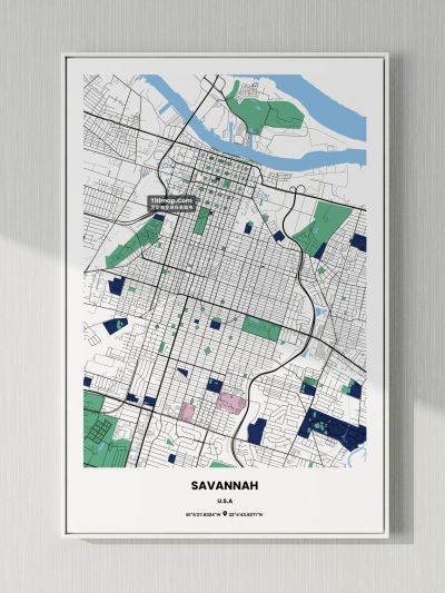 SAVANNAH地图装饰画