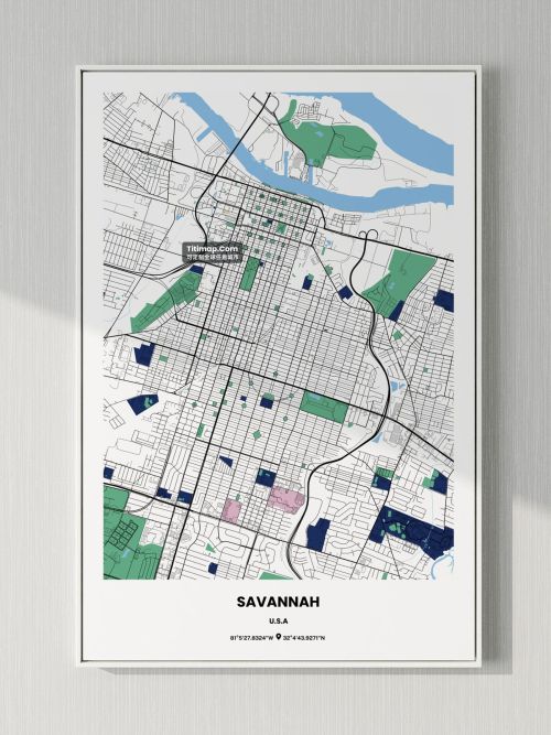 SAVANNAH地图装饰画