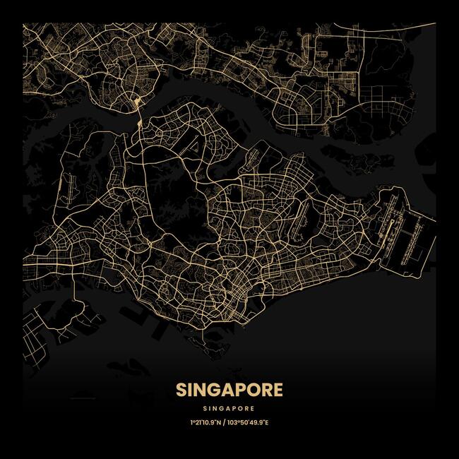 Singapore/新加坡Singapore/新加坡地图底图电子版素材